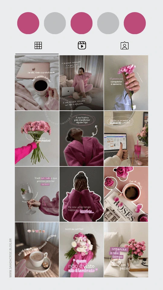Pack 14 Rosa Visual Creator